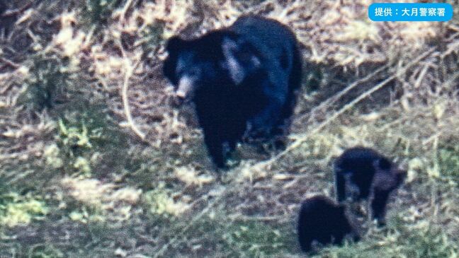【写真あり】クマ3頭が出没　近くには中学校も　警察が注意を呼びかけ　山梨・大月市|TBS NEWS DIG