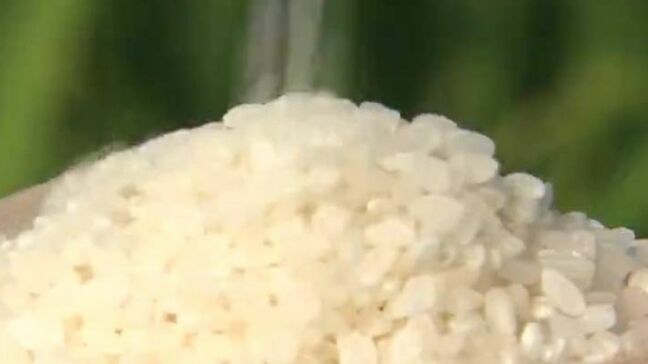 「令和の米騒動」今年も多くの人を翻弄・収束はいつに…消費者、生産者、販売店、JAに聞く【岡山】|TBS NEWS DIG