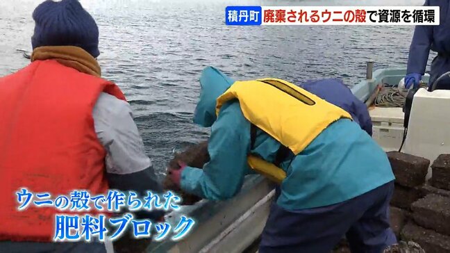 ウニの殻から作った肥料ブロックで海藻再生目指す…ウニの餌増やし海の資源循環狙う　北海道積丹町|TBS NEWS DIG
