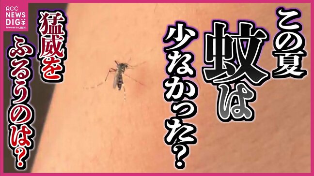 “やや”汗っかきの人は刺されやすい　日焼けした人も　蚊に注意するのはこれから　専門家に聞く刺されにくい服装や対策|TBS NEWS DIG