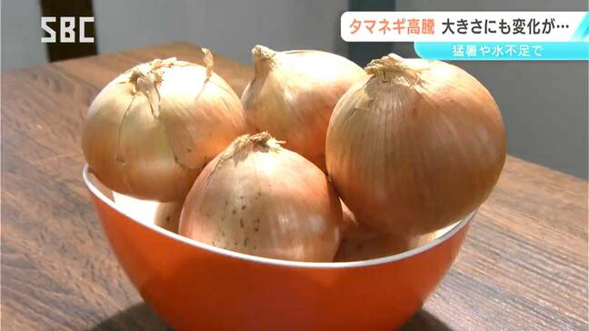 タマネギが値上がり!猛暑や水不足の影響で大きさにも変化が…ジャガイモ、ニンジンも値上がりでカレー店は「そろそろ限界」|TBS NEWS DIG