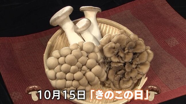 九州中心に真夏日90地点の一方で東日本は肌寒い秋に!いまが旬のきのこのおいしい食べ方は?|TBS NEWS DIG