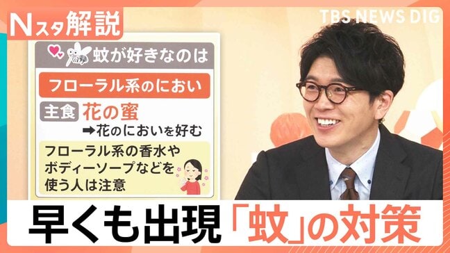 「ぷ~ん」まだ5月なのに…かゆい!早くも出現「蚊」に注意、刺されないために【Nスタ解説】|TBS NEWS DIG