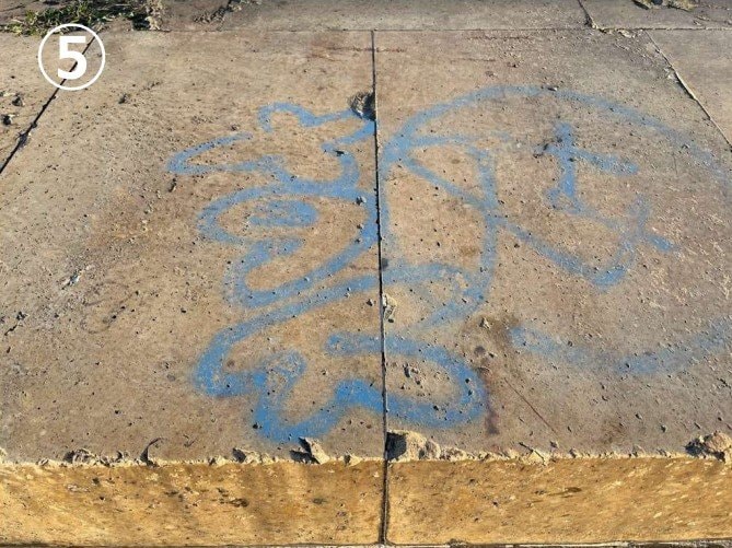 大阪「難波宮跡」に落書き12か所　大阪市が被害届を提出へ|TBS NEWS DIG