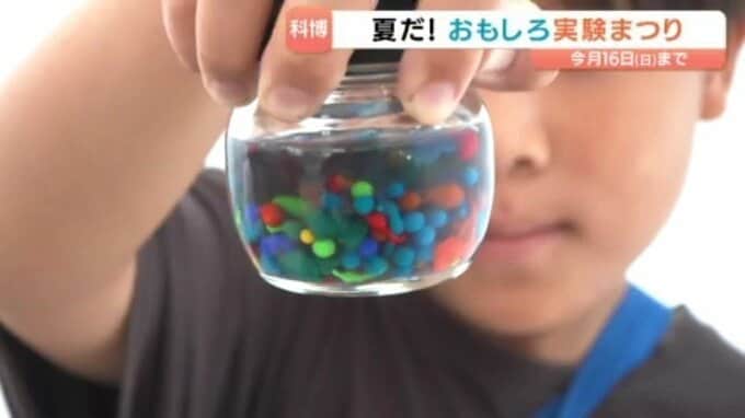 「液体を入れると丸くなって不思議!」カラフル人工イクラ作りに挑戦 科学の不思議 愛媛|TBS NEWS DIG