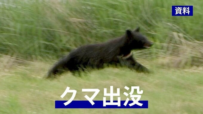 周囲にはクマの足跡や体毛　農機具保管用の小屋の窓ガラス割られる被害　岩手・大槌町　|　IBC NEWS | IBC岩手放送