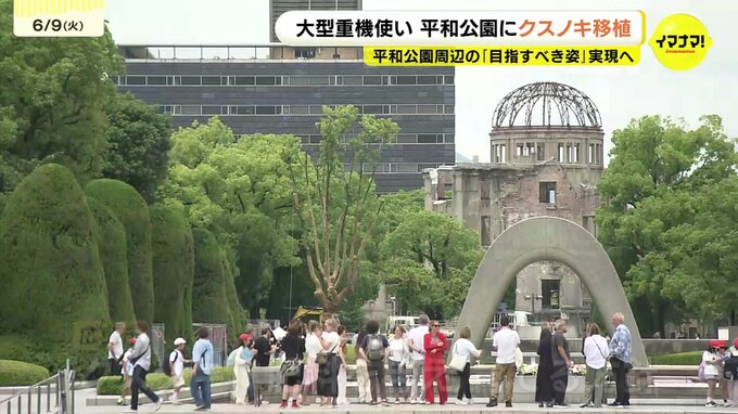 景観対策で約13mのクスノキが平和公園に移植　広島市が目指す理想の景観とは　広島・原爆ドーム　|　RCC NEWS | 広島ニュース | RCC中国放送