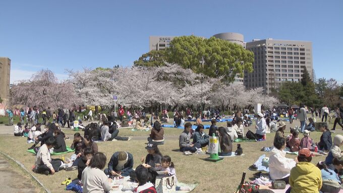 桜満開の名古屋･鶴舞公園 平日も花見客で大にぎわい 県外や海外から訪れた人も…｢すごく素敵、来て良かった｣ 名古屋･昭和区　|　名古屋・愛知・岐阜・三重のニュース【CBC news】 | CBC web