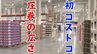 圧巻の広さ！県内初コストコは商品もビッグサイズ　開店直前の店舗内部を公開　|　沖縄のニュース｜RBC 琉球放送