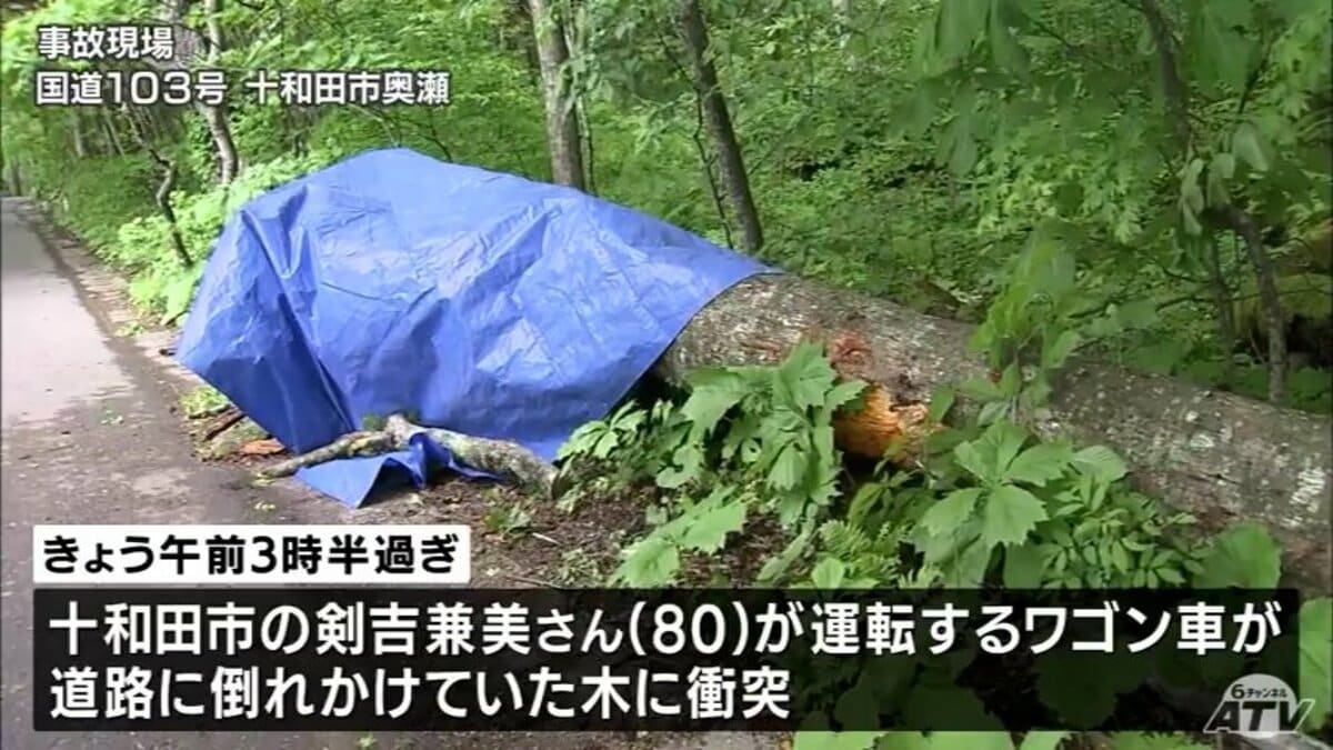 観光地・十和田湖沿いの国道で倒木が走行中の車に直撃 80歳の男性が