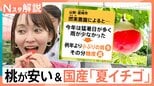 今年の桃が安くて甘い! 最高金賞受賞の“過疎地域”が作る夏イチゴとは【Nスタ解説】|TBS NEWS DIG