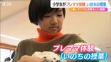 「産んでくれてありがとうって伝えたい」小学生が『いのちの授業』でプレママ体験 新潟市|TBS NEWS DIG