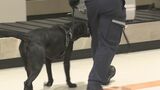 不正薬物などの密輸防止へ警戒を強化 沖縄地区税関が「年末特別警戒」|TBS NEWS DIG