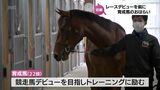 競走馬デビューへ JRA宮崎育成牧場で育成馬の今後の活躍と安全を祈願|TBS NEWS DIG
