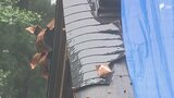 「元の姿に戻すのは難しい、悔しい」浜松市の神社で銅板6000枚の盗難被害 被害額は2000万円以上か...静岡県西部の神社や霊園で銅板を狙った犯行が相次ぐ|TBS NEWS DIG