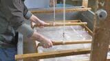 【映像】400年続く遠野和紙　福島・いわき市【カメラめせん㊶】　|　福島のニュース│TUF