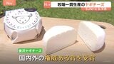 新緑の季節に…日本で珍しい「ヤギチーズ」製造の牧場を取材　春～秋の限られた期間のみ搾乳　開業数年で国内外で受賞歴も【SUNトピ】|TBS NEWS DIG
