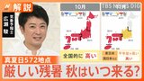 今年は残暑も厳しく･･･待ち遠しい“秋の到来”　この暑さが「松茸」の収穫にも影響か【Nスタ解説】|TBS NEWS DIG