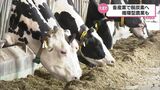 牛のゲップもふん尿も「脱炭素」と「循環型農業」に 新富町の酪農家の先進的取り組み | MRTニュース | MRT宮崎放送