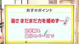 高知の天気 2日 日差し届くも山沿いでは天気の崩れ 山岸拓気象予報士が解説 | 高知のニュース・天気|KUTV NEWS | KUTVテレビ高知