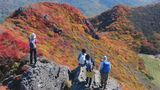 360度紅葉に出会う くじゅう連山の山頂 赤や黄色に染まる 大分 | 大分のニュース|OBS NEWS|大分放送
