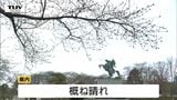 きょうの山形県内はおおむね晴れ　山形市では最高気温が20度まで上がる見込み|TBS NEWS DIG