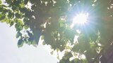 大月34度、甲府33度など観測9地点で既に30度超 熱中症に警戒を 【午前11時半現在】 | 山梨のニュース | UTYテレビ山梨