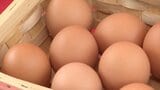「より自然な味わいのあるタマゴが作れる」食品コンテストで県内初の最優秀賞のタマゴ　そのおいしさの秘密は…？　山梨・忍野村　|　山梨のニュース | ＵＴＹテレビ山梨
