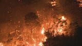 5日間にわたり37ヘクタール焼いた山林火災 山口消防「出火原因は不明」|TBS NEWS DIG