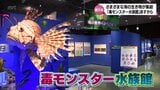 「毒」を持つ海洋生物を一堂に集めた展示会「毒モンスター水族館」 13日から宮崎県総合博物館で開催 | MRTニュース | MRT宮崎放送