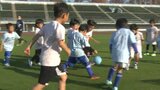 「いっぱいシュート決める」気温20℃超の暖かさの中 未就学児 約400人がスポーツでさわやかな汗【岡山】|TBS NEWS DIG