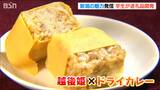 『イチゴ×ドライカレー』がおにぎりの具!? 大学生が開発したふるさと納税返礼品で新潟の魅力をPR | 新潟のニュース・天気|BSN NEWS|BSN新潟放送
