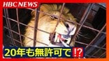 無許可で施設を作った民間動物園『ノースサファリサッポロ』は今後どうなる?なぜ違法状態のまま20年にわたって営業ができたのか…動物園と札幌市の主張を検証 | 北海道のニュース|HBC北海道放送