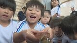 園児は大興奮 幼稚園に生きた「須佐男命いか」 ブランド化推進委がプレゼント 山口・萩 | 山口のニュース・天気・防災|tys NEWS|tysテレビ山口