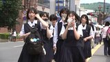 岩手県内気温上昇 盛岡は今季初の真夏日を観測|TBS NEWS DIG