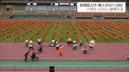 約1600人の小学生がダンス 2027年「宮崎国スポ・障スポ」を盛り上げるPV撮影 | MRTニュース | MRT宮崎放送
