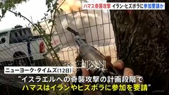 ハマスがイランやヒズボラに奇襲攻撃の参加を要請か　米メディア報道　イラン国連代表部は報道内容否定| TBS CROSS DIG with Bloomberg