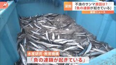 深刻な不漁が続くサンマ「負の連鎖が起きている」海洋環境との関係について最新の研究調査結果で…去年の水揚げ量は2008年の20分の1| TBS CROSS DIG with Bloomberg