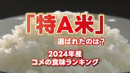 【特A米は39品種】2024年産「コメの食味ランキング」　猛暑の西日本苦戦？7品種が「A」にダウン【143品種ランク別掲載】|TBS NEWS DIG