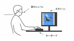 呼吸のタイミングが｢記憶｣に関係している!? 暗記のコツは…覚える時に｢吐く｣ 答える時も｢吐く｣  ｢声を出しながら英単語を覚える行為は、理に適っている｣|TBS NEWS DIG