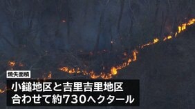 岩手・大槌町の山林火災　発生4日目のきょうはヘリによる放水や1000人規模で地上から消火活動|TBS NEWS DIG