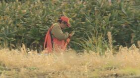 速報【クマ１頭を駆除】銃声2発…出没が相次ぐ札幌市南区の住宅街に響く、藪に消えたクマが再び出てきたところをハンターが仕留める|TBS NEWS DIG