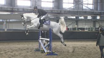 「念願の屋根付き馬場が出来て幸せ」福島競馬場の全天候型新乗馬センターが完成　福島|TBS NEWS DIG