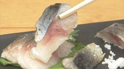 刺身で食べられるサバ「お嬢サバ」に続く新ブランド・妹分の 刺身で食べられるサバ「お嬢サバ」に続く新ブランド・妹分の