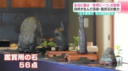 足元に眠る“世界に一つ”の宝物 自然が産んだ芸術・鑑賞石の魅力 高知は