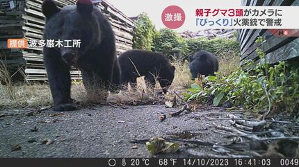 免活に!!高線量‼南砺ペグマタイト(59) 大路付近のペグマタイト希元素鉱物｜京都府レッドデータブック2015