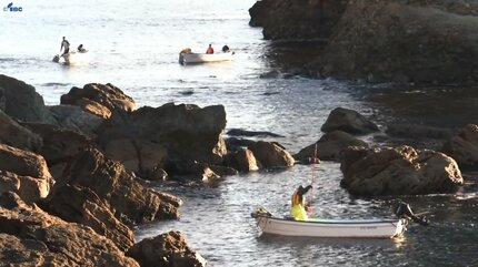 1か月遅れでアワビ漁解禁 漁師たちが朝日浴び巧みにさお操る 入札価格