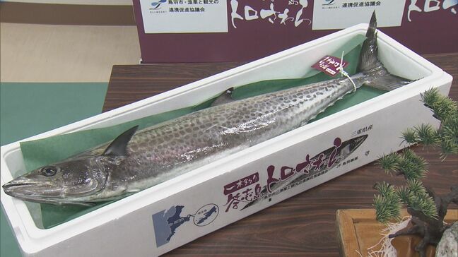 ブランド魚「答志島トロさわら」の水揚げ始まる 三重・鳥羽市|TBS NEWS DIG