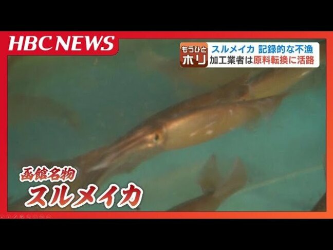 記録的なスルメイカ不漁で珍味の製造会社は乾燥機を使い「干し芋」に活路を…専門家“黒潮大蛇行”終息の兆しで秋くらいから漁獲増の可能性示す|TBS NEWS DIG