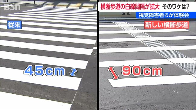 『白線の“間隔2倍”の横断歩道』認識可能か横断体験「環境がキチンと整っていれば不安は感じません」と視覚障がい者 設置管理費用も削減 新潟県警|TBS NEWS DIG